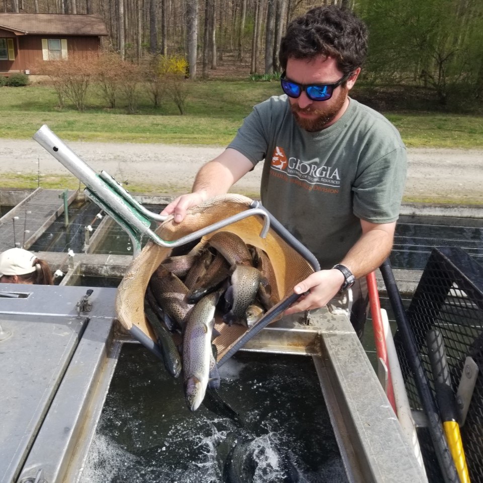 A bearded man in sunglasses stocks a truck with trout.